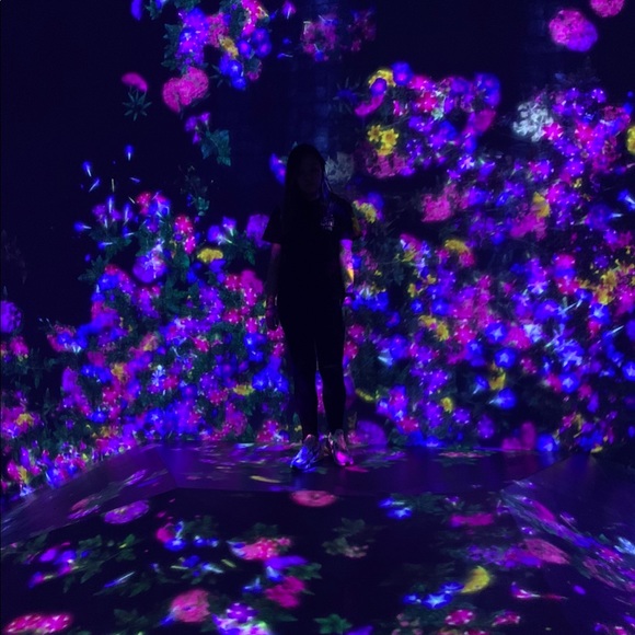 Meet your Posher, Melanie - Picture 1 of 1